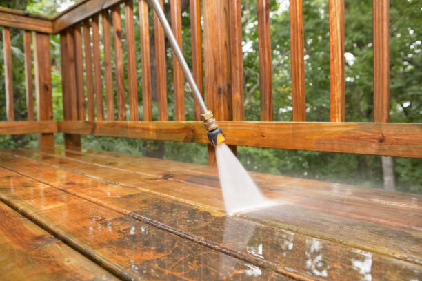 Best Driveway Pressure Washing  in Naranja, FL